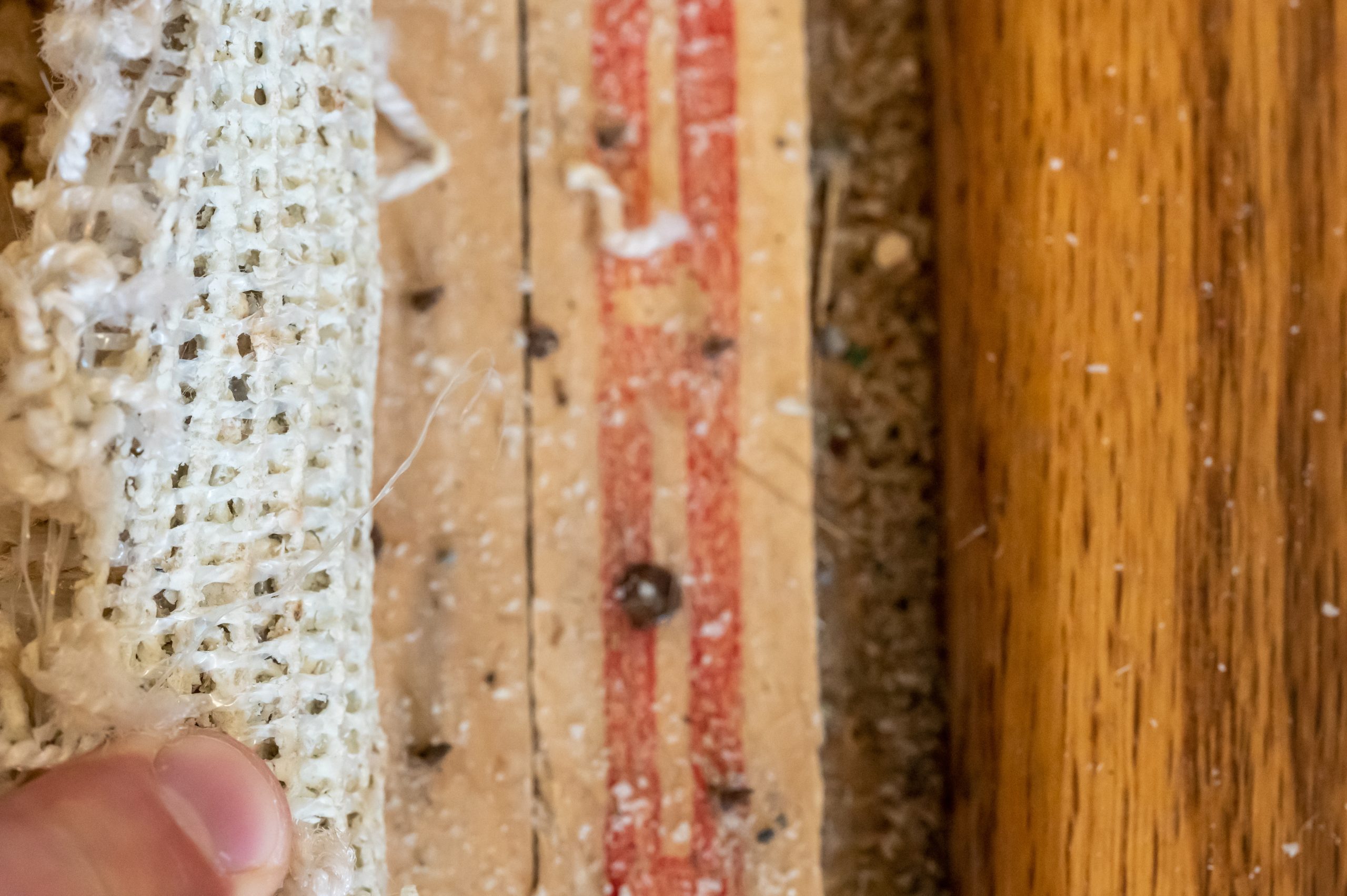 Carpet tack strip exposed during a flooring home improvement project. Adobe Stock | Lost_in_the_Midwest