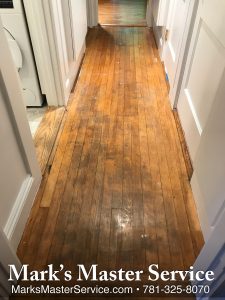 100 year old maple wood floors refinished in Cambride, MA